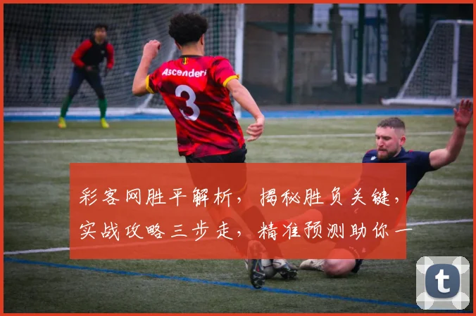 彩客网胜平解析，揭秘胜负关键，实战攻略三步走，精准预测助你一臂之力，赢在起跑线