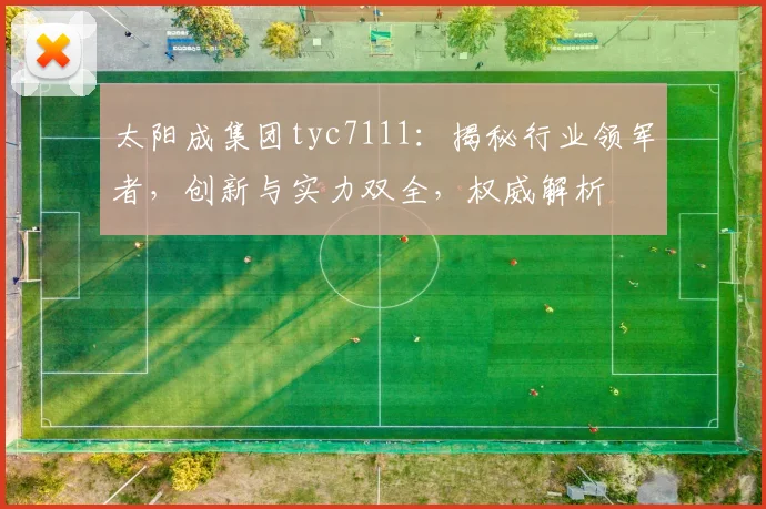 太阳成集团tyc7111：揭秘行业领军者，创新与实力双全，权威解析
