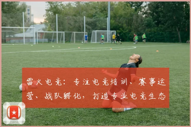 雷火电竞：专注电竞培训、赛事运营、战队孵化，打造专业电竞生态圈，引领行业潮流。